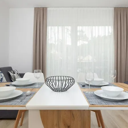 B 101 ポビエロボ