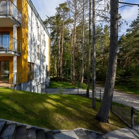 B 101 * ポビエロボ