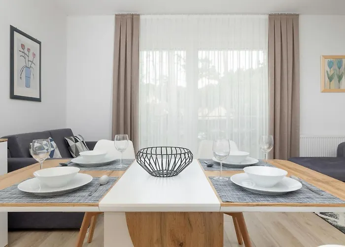 B 101 포비에로보